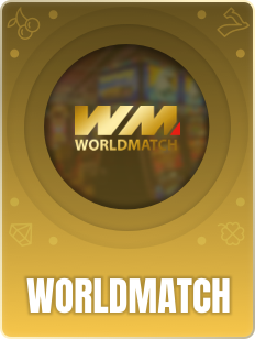 provider-worldmatch